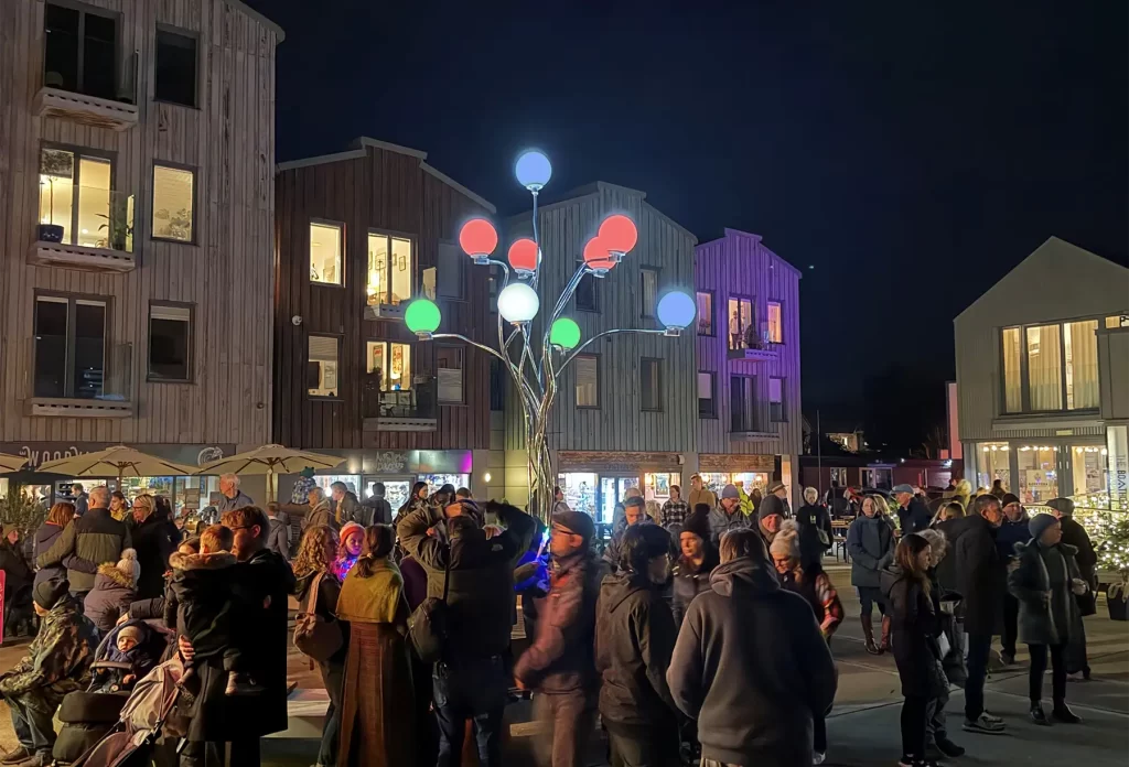 Mistree Christmas Lighting at Whisstocks Place