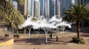 Mistree at Dubai Harbour