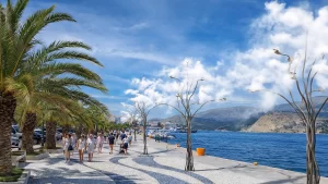 Mistree in Kefalonia